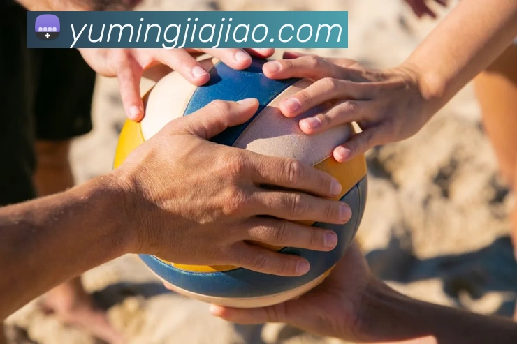 必一体育sport官网服务体系